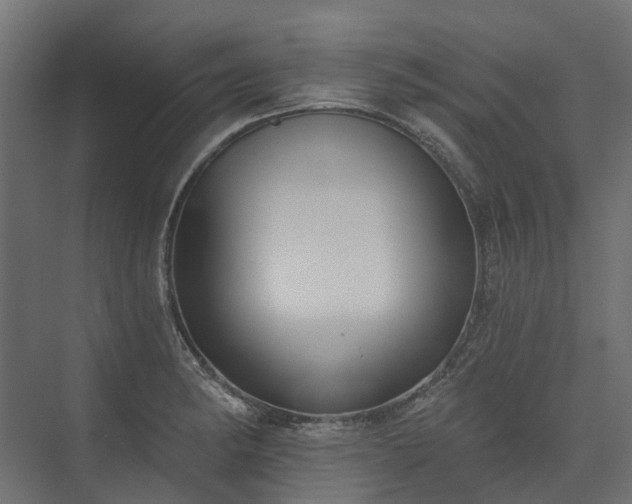 X0000075351182200609151603