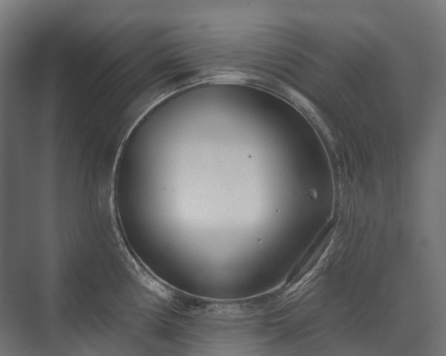 X0000075351194200609151603