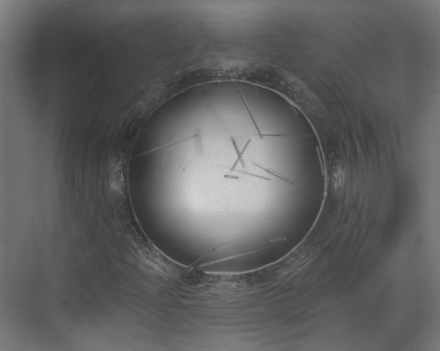 X0000075351204200609151602