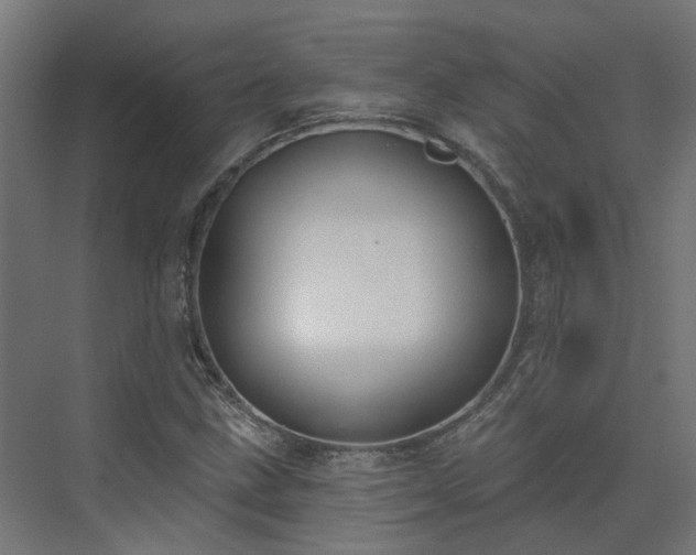 X0000075351211200609151602