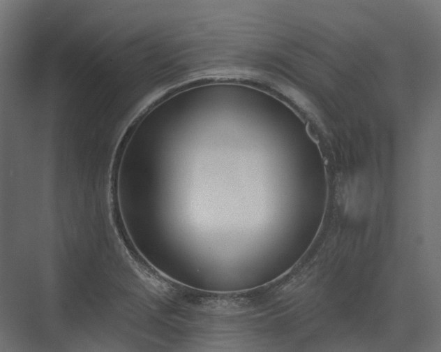 X0000075351229200609151602