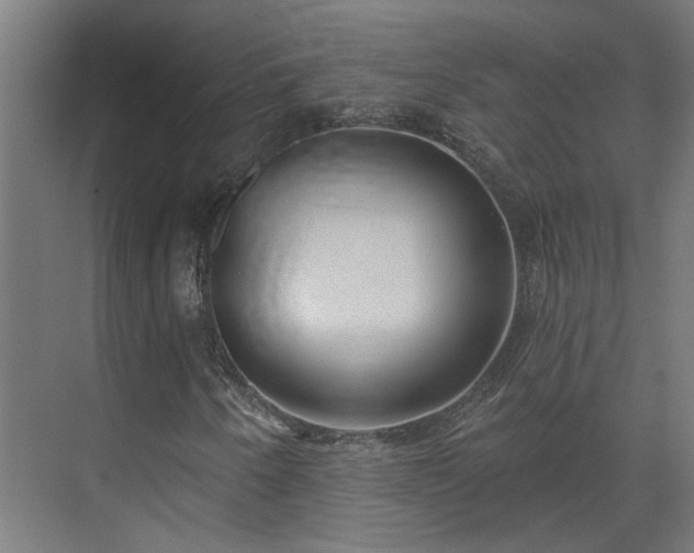 X0000075351250200609151602