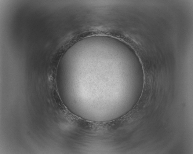 X0000075351254200609151602