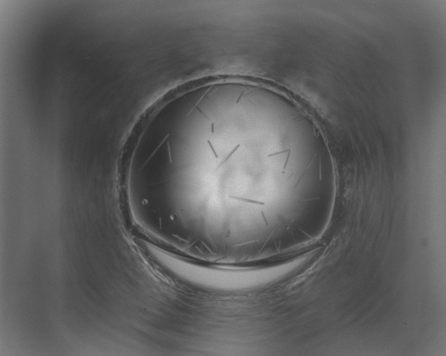 X0000075351264200609151602