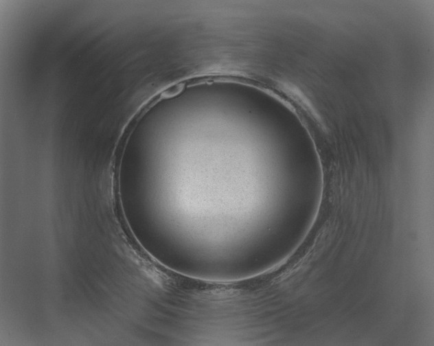 X0000075351268200609151601
