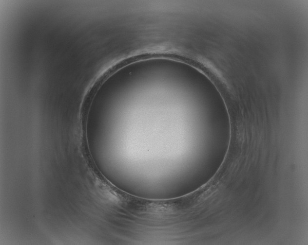 X0000075351270200609151601
