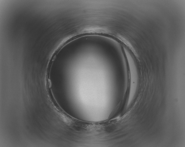 X0000075351277200609151601