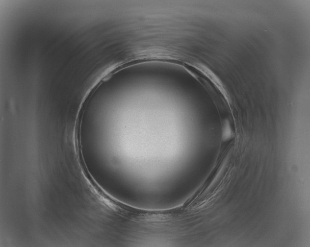 X0000075351293200609151601