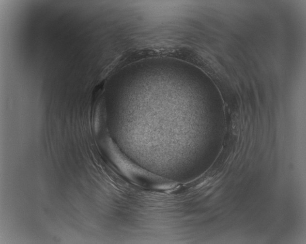 X0000075351298200609151600
