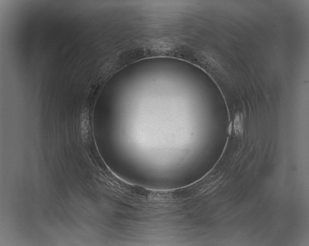 X0000075351299200609151600
