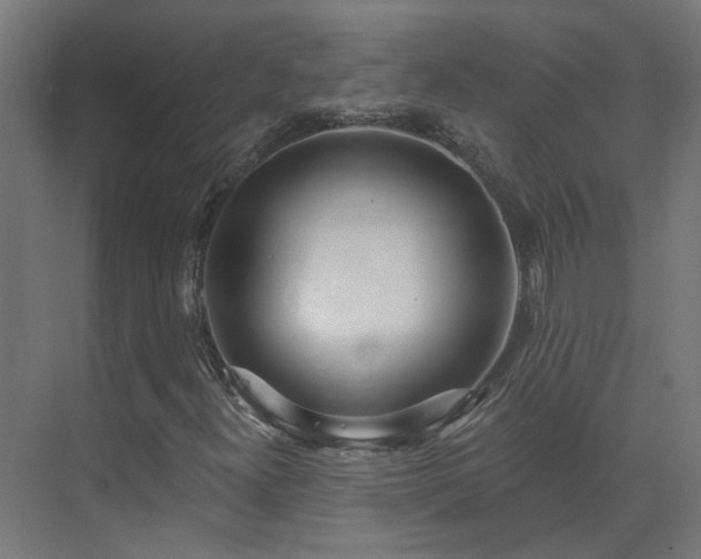 X0000075351300200609151600