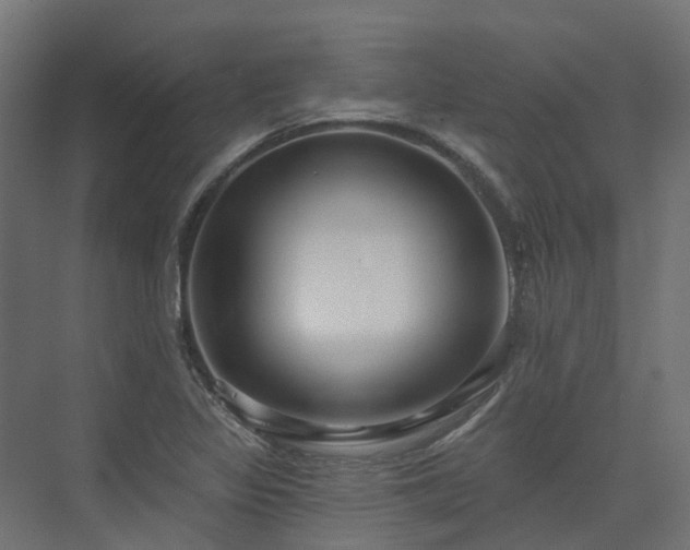 X0000075351317200609151601