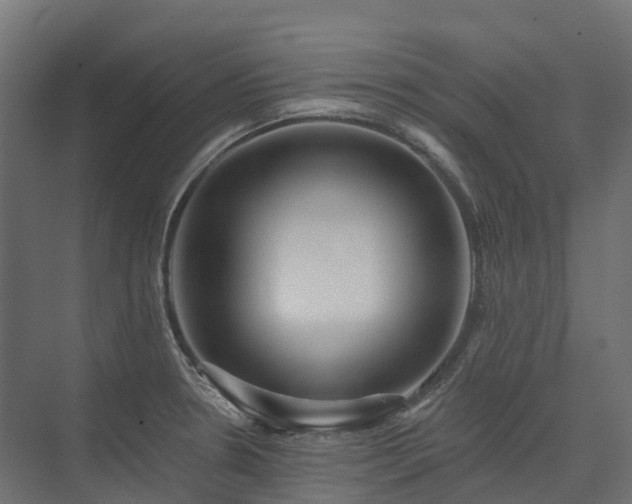 X0000075351330200609151601
