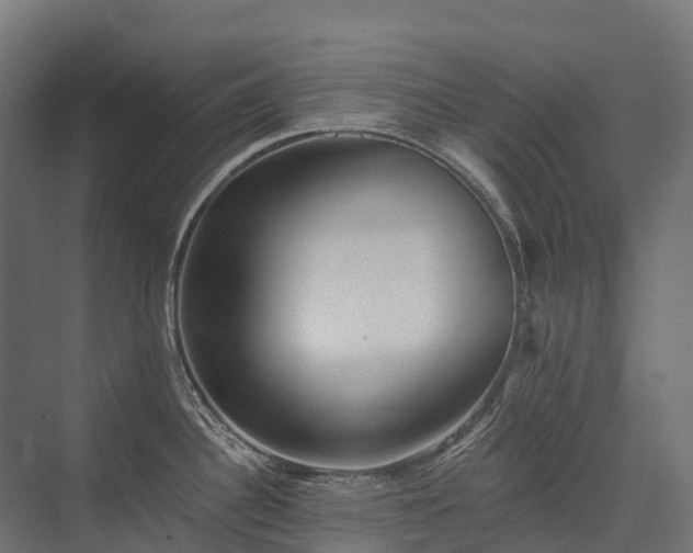 X0000075351340200609151601