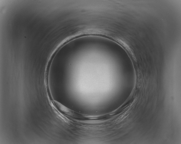 X0000075351342200609151601