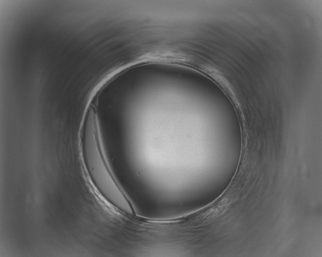 X0000075351344200609151601