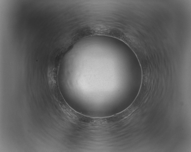 X0000075351346200609151600
