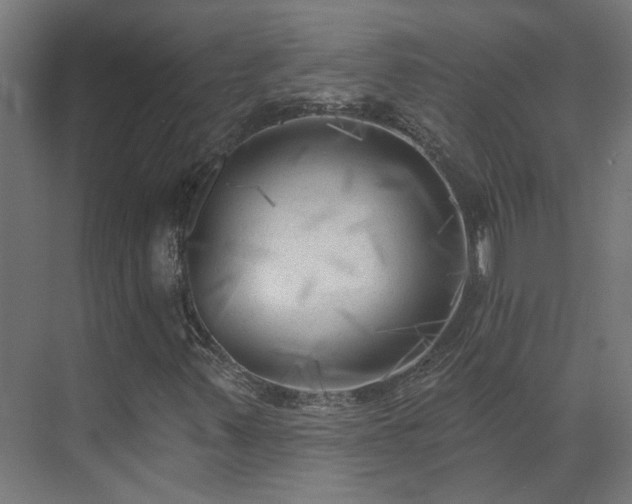 X0000075351347200609151600