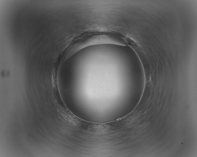 X0000075351348200609151600