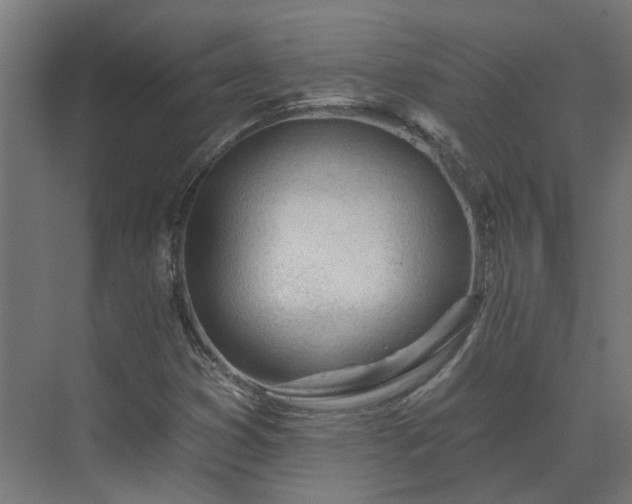X0000075351353200609151600