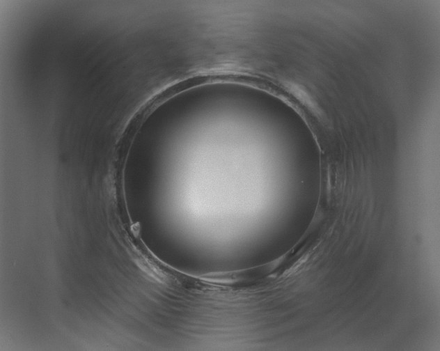 X0000075351356200609151600