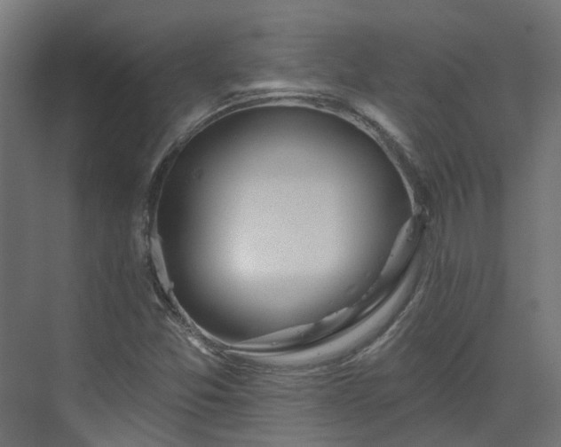 X0000075351357200609151600