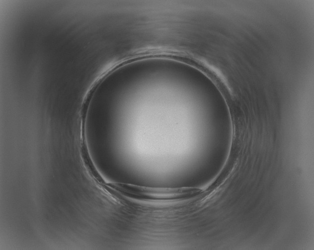 X0000075351365200609151600