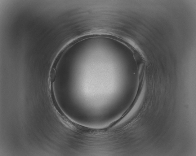 X0000075351372200609151600