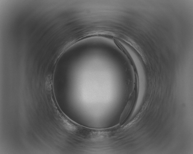X0000075351377200609151600