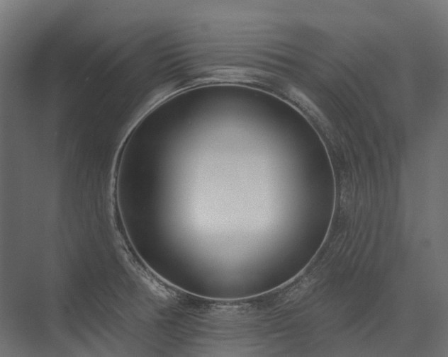 X0000075351378200609151600