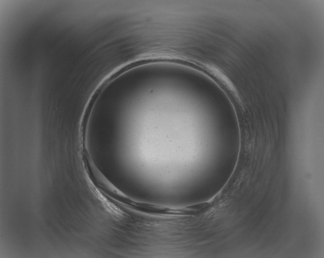 X0000075351380200609151600