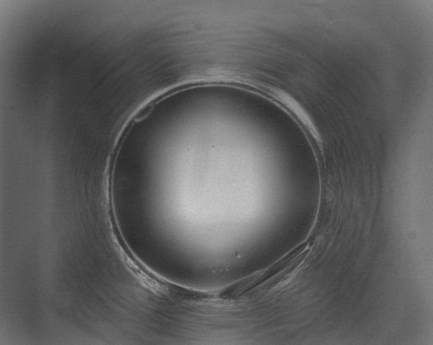 X0000075351388200609151559