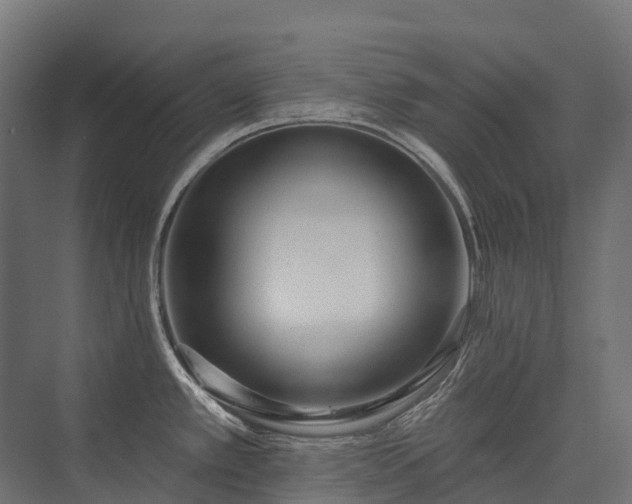 X0000075351389200609151559