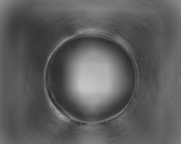 X0000075351392200609151559