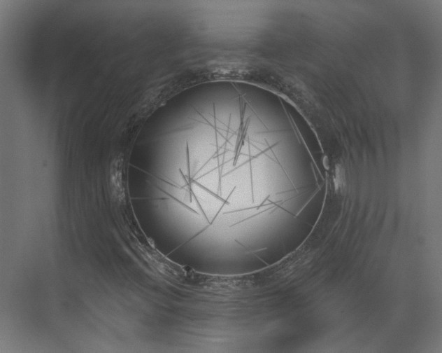 X0000075351396200609151559