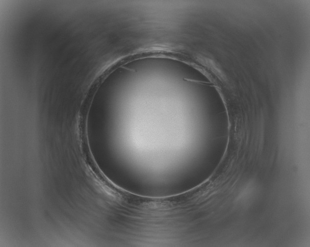 X0000075351404200609151559