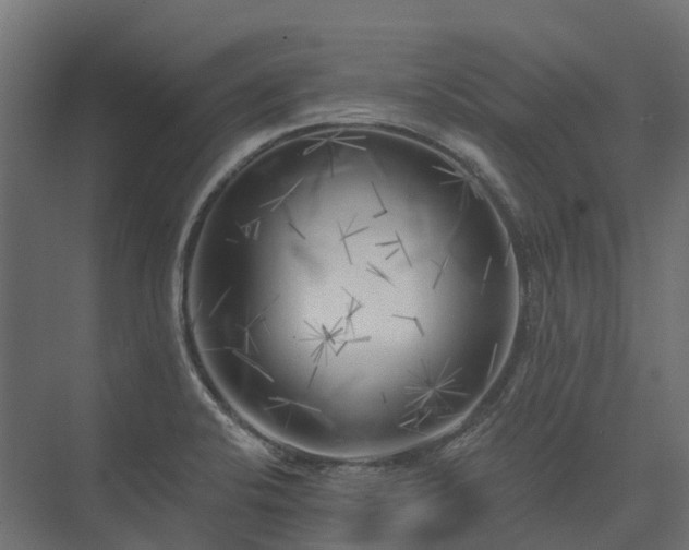 X0000075351424200609151559