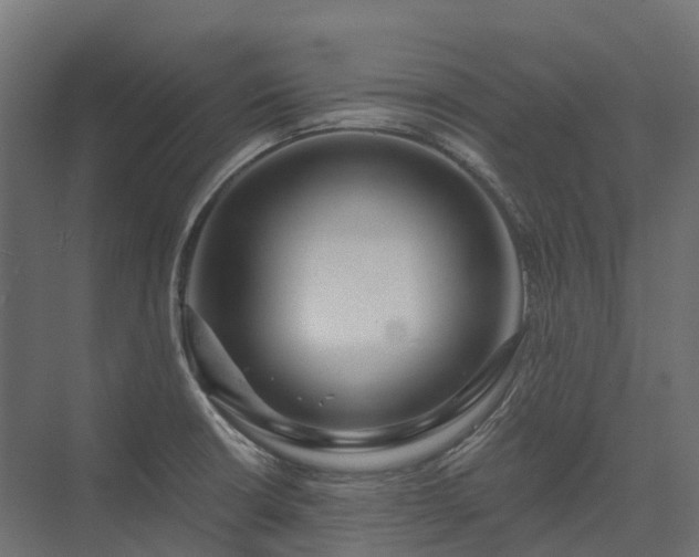 X0000075351426200609151559