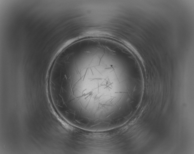 X0000075351437200609151559