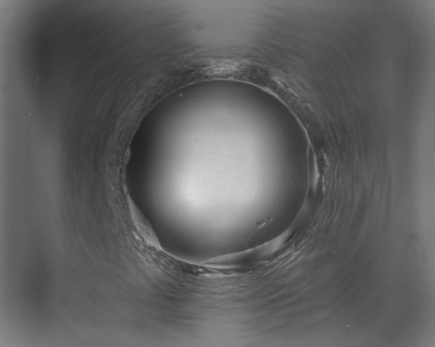 X0000075351441200609151559