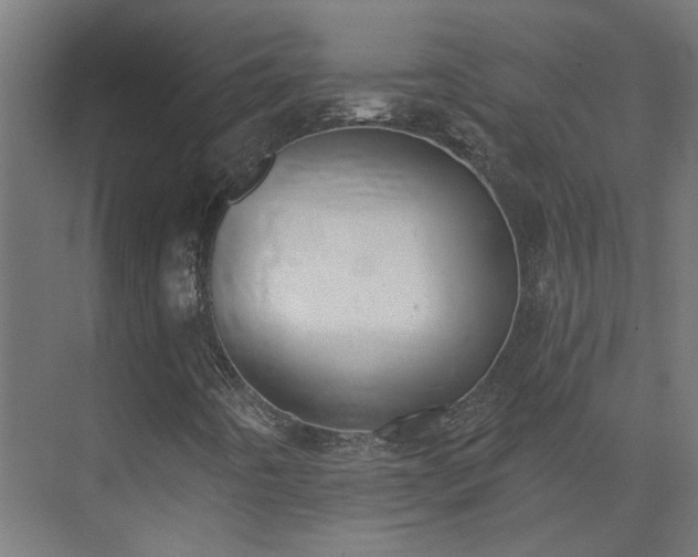 X0000075351442200609151559