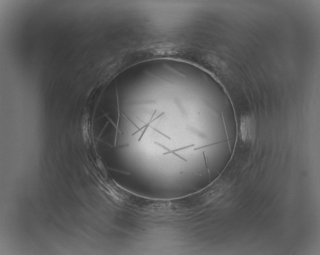 X0000075351444200609151558