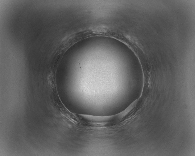 X0000075351445200609151558