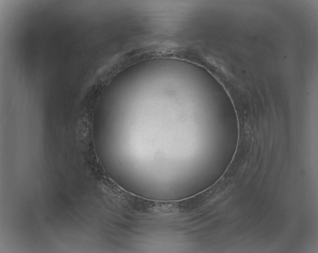 X0000075351447200609151558