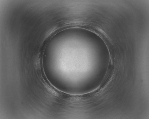X0000075351450200609151558