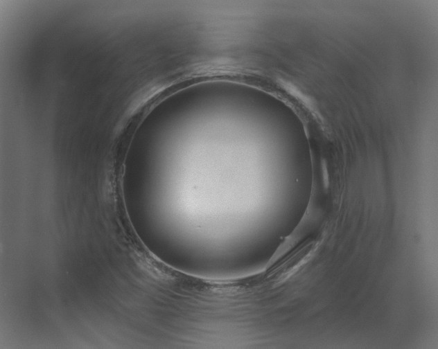 X0000075351453200609151558
