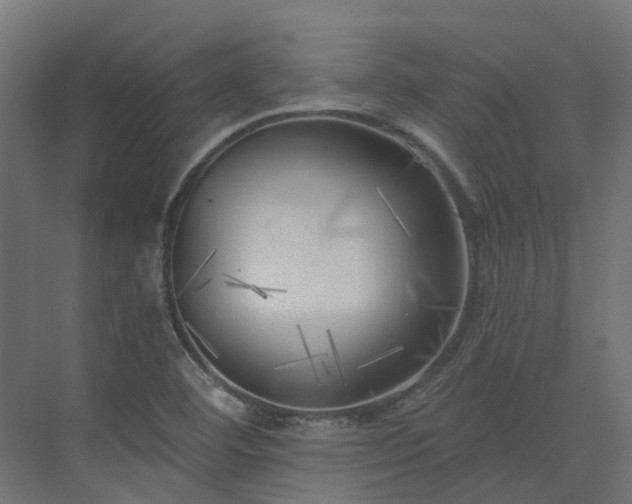 X0000075351460200609151558