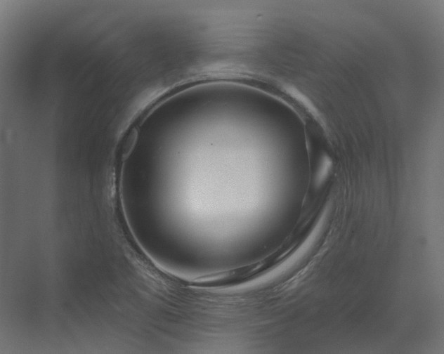 X0000075351461200609151558