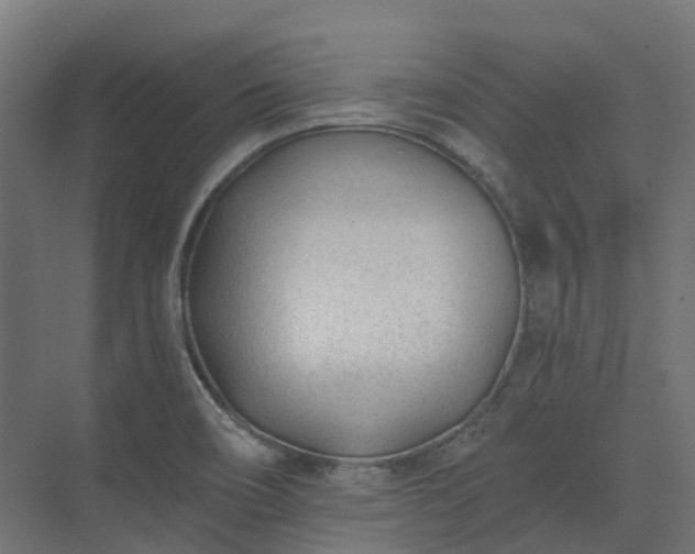 X0000075351466200609151558