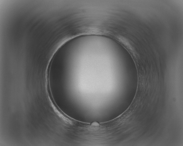 X0000075351479200609151558